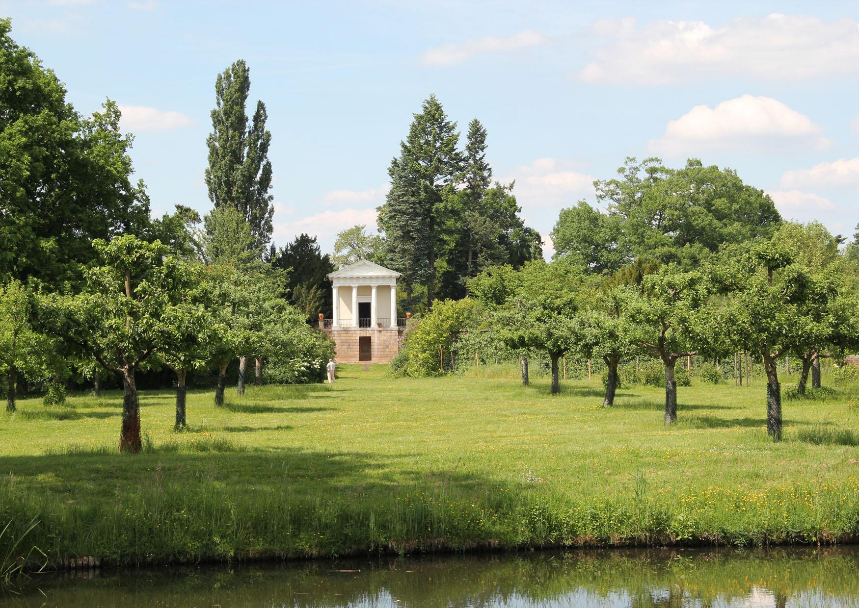 Wörlitzer Park Blick durch Allee zum Floratempel