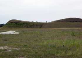 Der Bäralder See bei Boxberg im Jahr 2009, das Ohr bei Boxberg