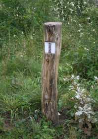 Wegmarkierung am Wanderweg in der Königsbrücker Heide