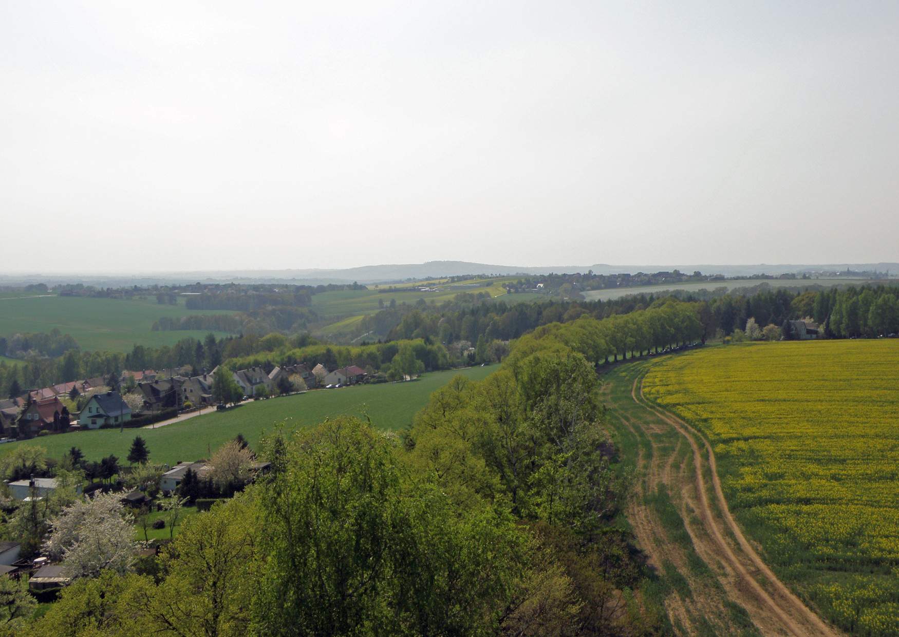 Der Blick vom Aussichtsturm Geringswalde Richtung Rochlitzer Berg