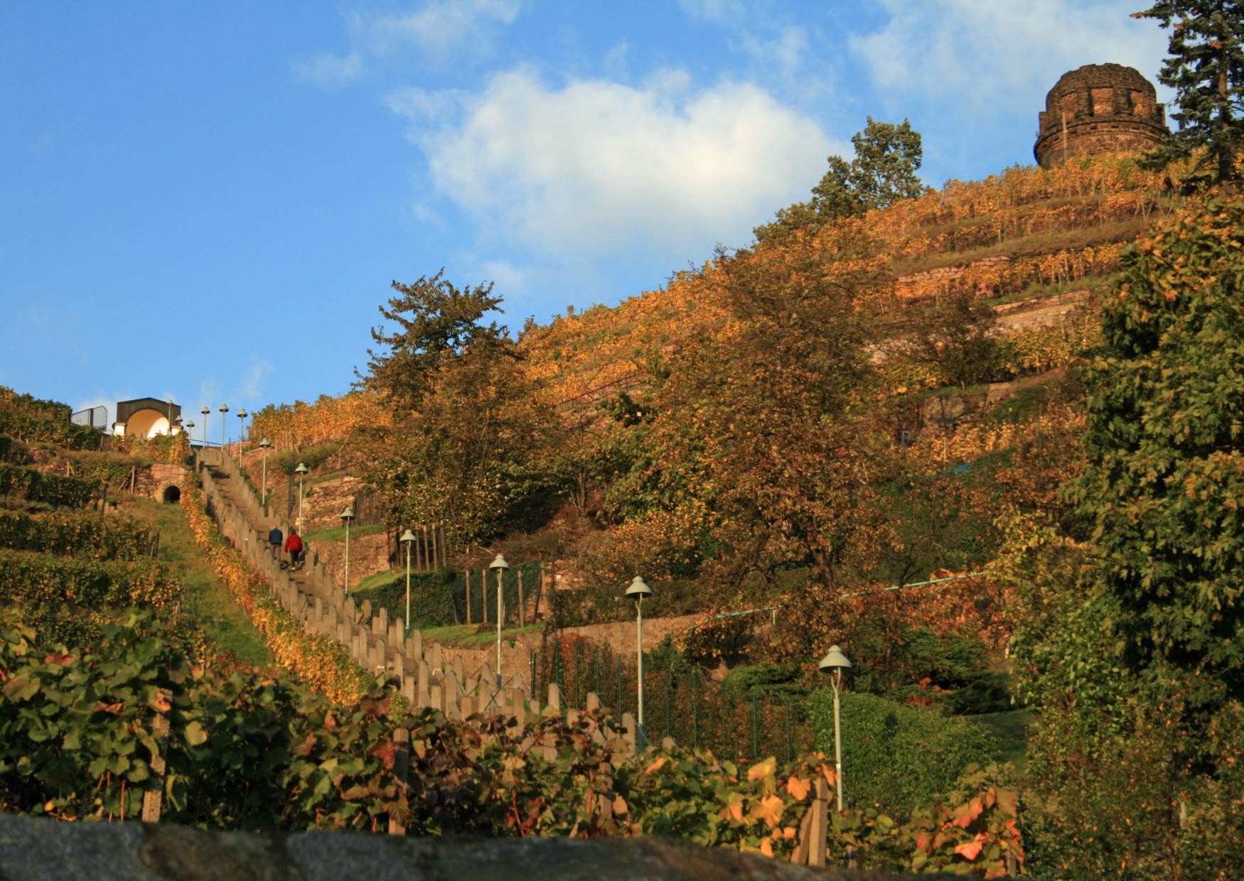 Die Spitzhaustreppe vom Weingut Hoflößnitz zum Bismarckturm