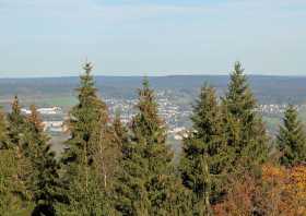 Aussicht Morgenleithe Richtung Spiegelwald