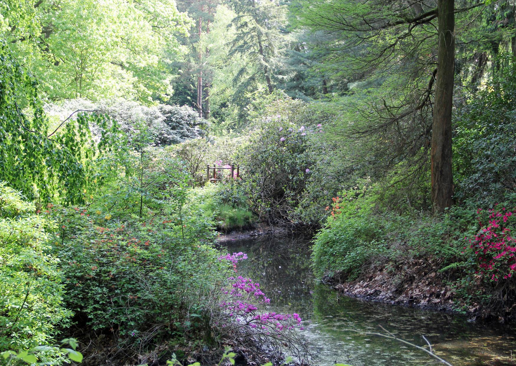 Inselteich Park Kromlau