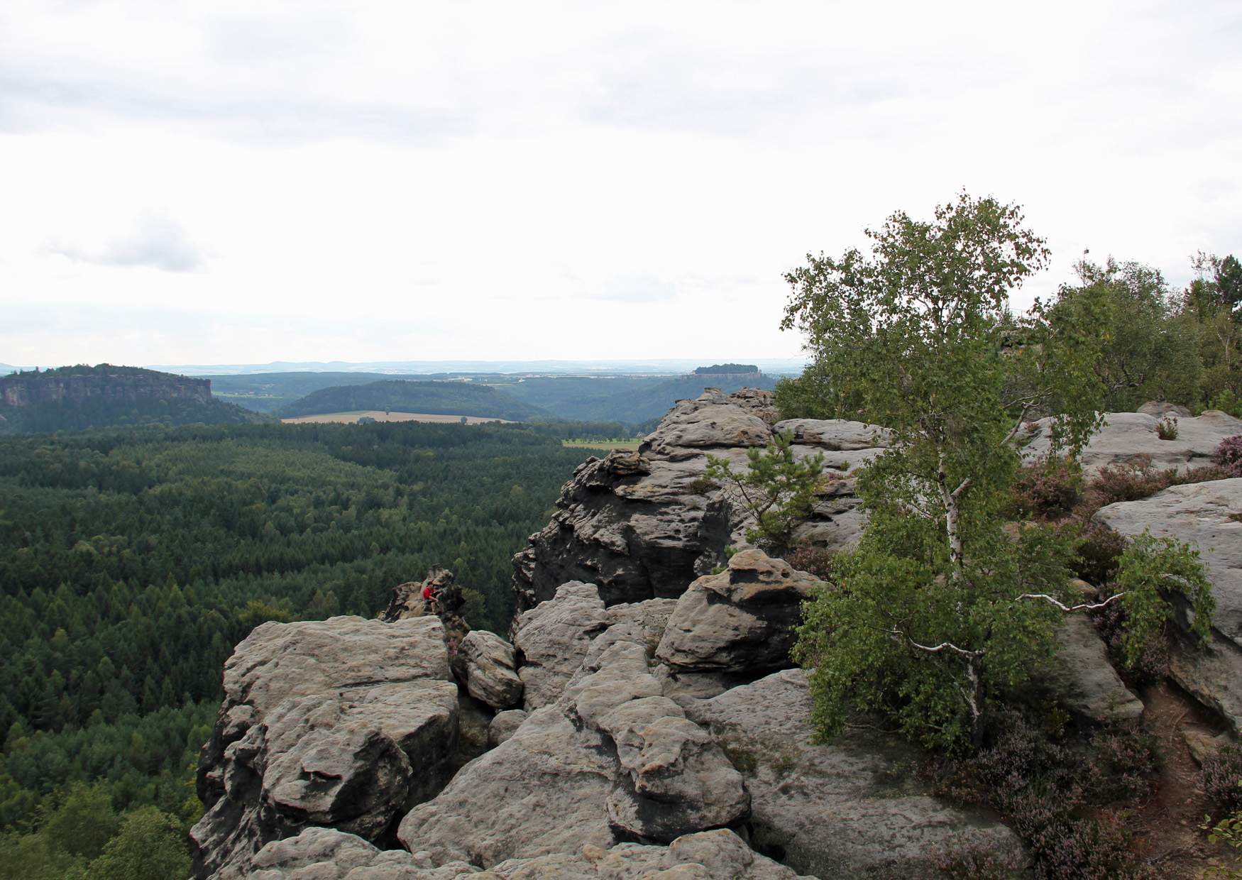 Der Ausblick vom Gohrisch