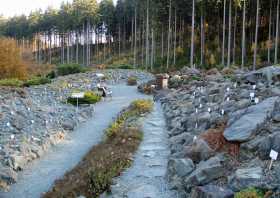 Hochgebirge hier findet man trockenheitsliebende Pflanzen